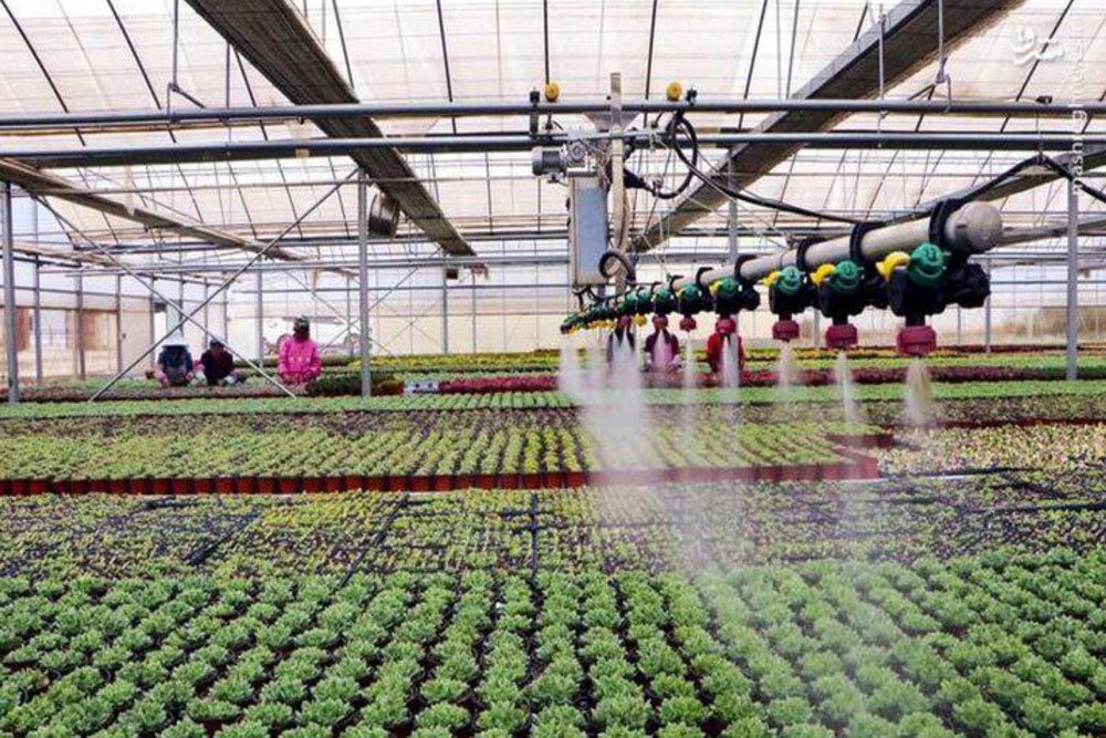 نوفن؛ مسیر انتقال فناوری به روستا/سرمایه گذاری؛ الگوی انتقال فناوری به کسب و کارهای حوزه کشاورزی و صنایع غذایی و تبدیلی