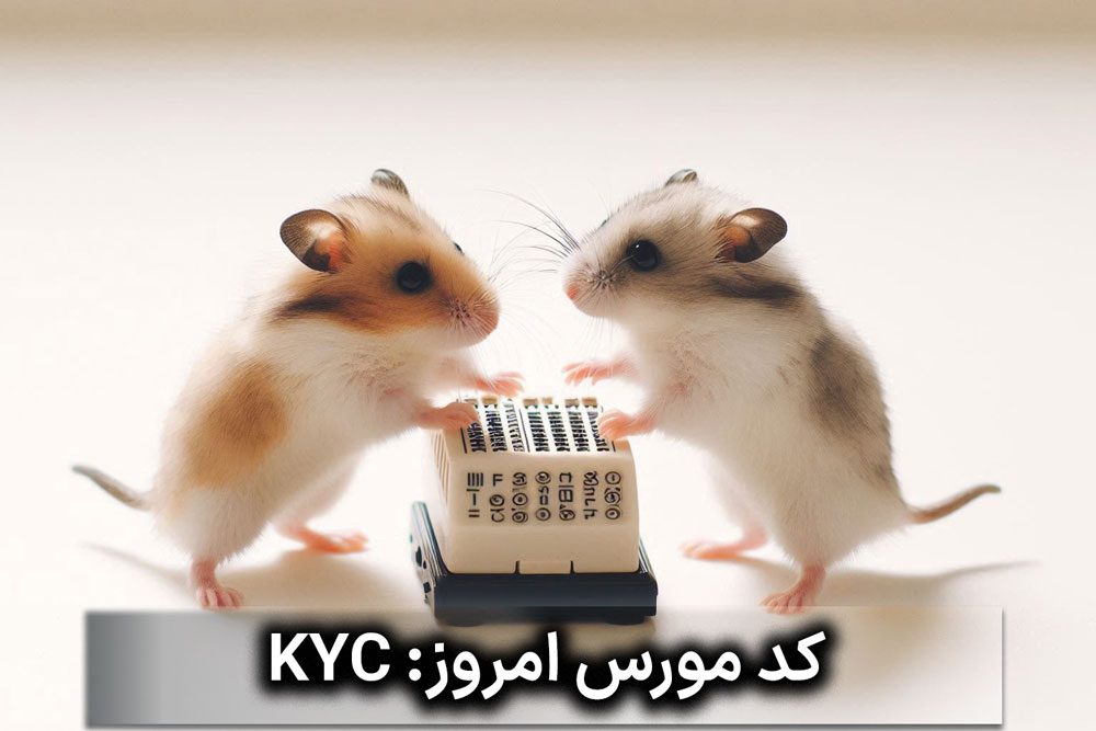 کد مورس بازی همستر کامبت امروز سه‌شنبه ۱۲ تیر