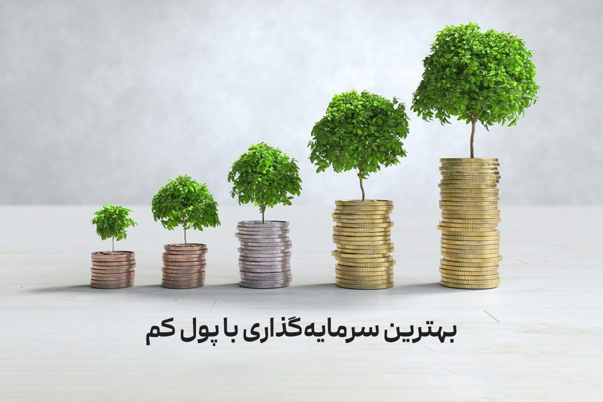 بهترین سرمایه گذاری در ایران با پول کم
