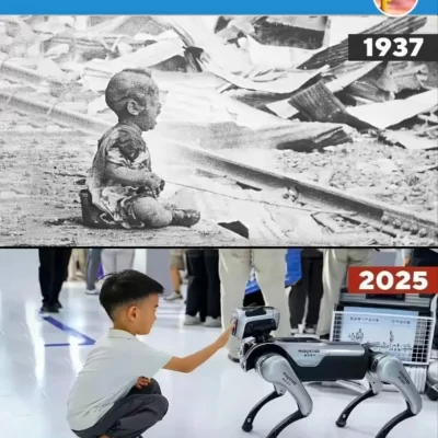 چین ۱۹۳۷ و چین ۲۰۲۵